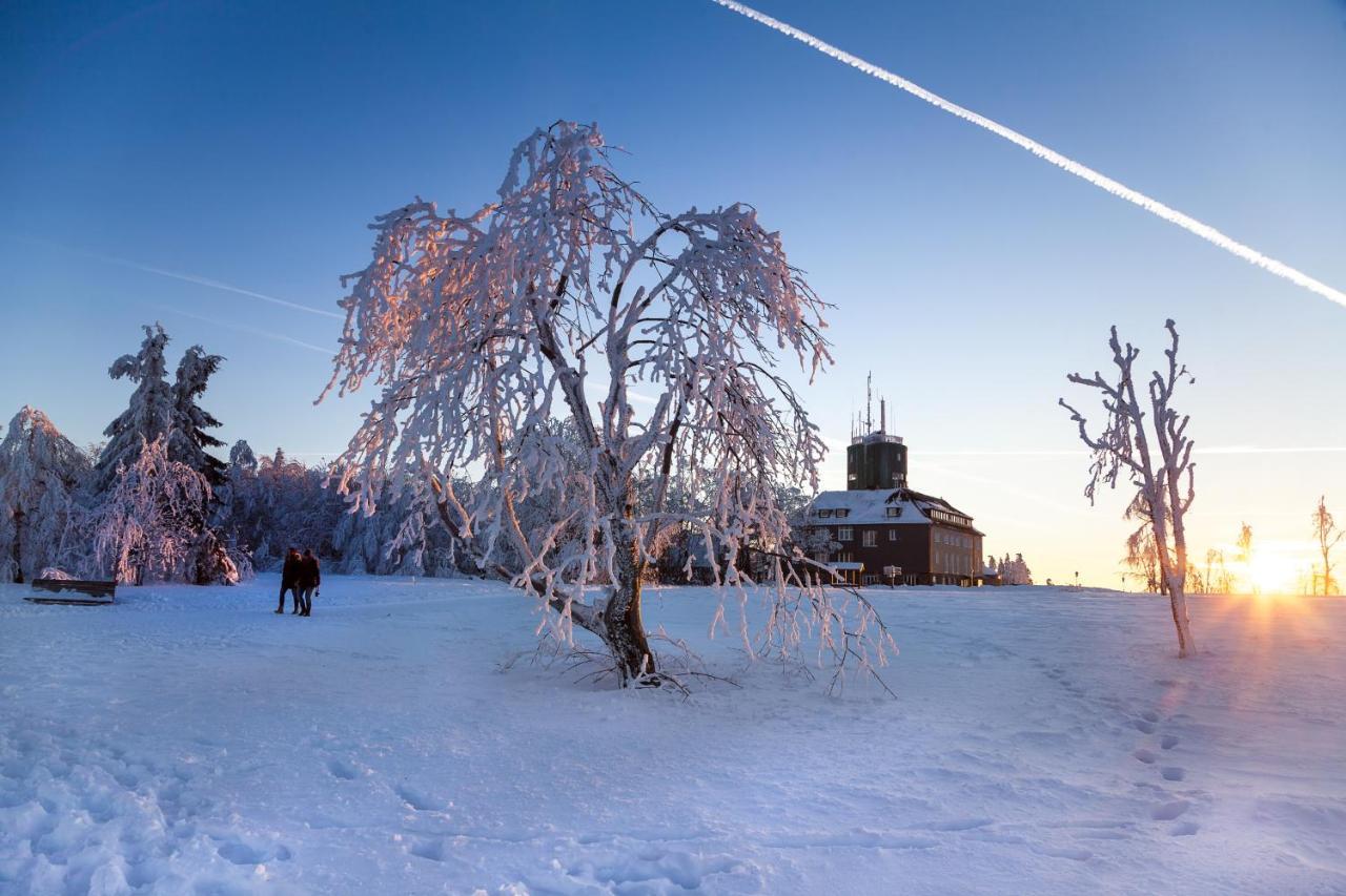 The Suite Winterberg Deluxe: Ski-to-Market Luxury with Garden Exterior photo